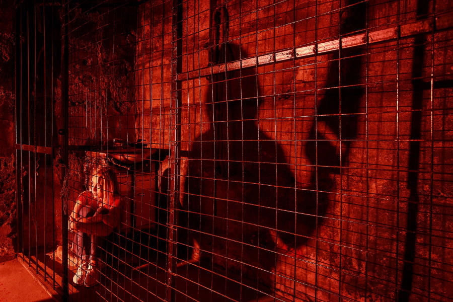 Квест в реальности Мясо от компании Quest show Квест в реальности Мясо от компании Quest show